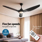 162cm (64'') Remote DC Ceiling Fan with Light - Black