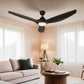 162cm (64'') Remote DC Ceiling Fan with Light - Black