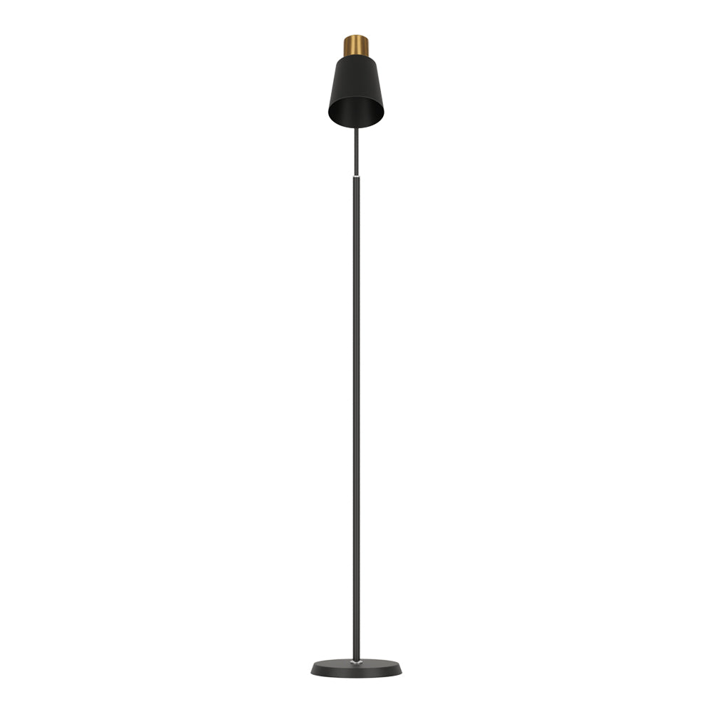 Adjustable Black LED Floor Lamp with Brass Accent - Modern Reading Light