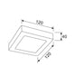 LED Dimmable Tri-CCT Surface Mounted Metal Oyster Lights - Square