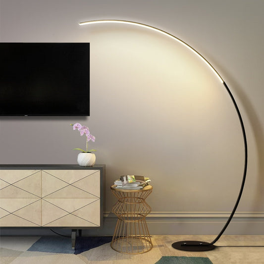 Minimalist Creative C-shaped LED Floor Lamp - Black